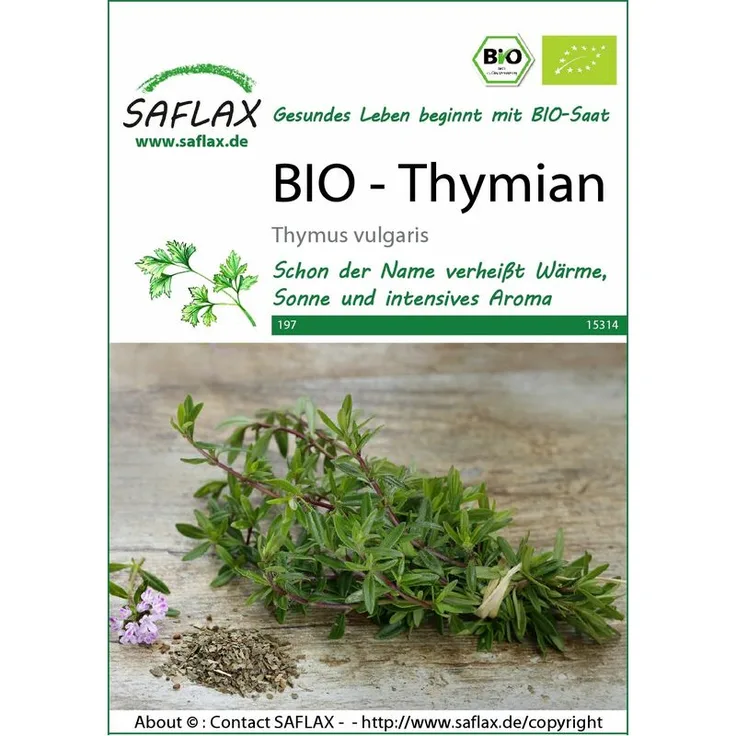 SAFLAX Thymian BIO Thymiansamen von Saflax