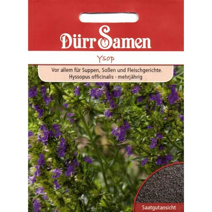 DÜRR-SAMEN Ysop Kräutersamen 
