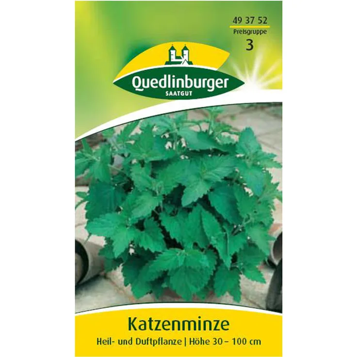 QUEDLINBURGER Katzenminze