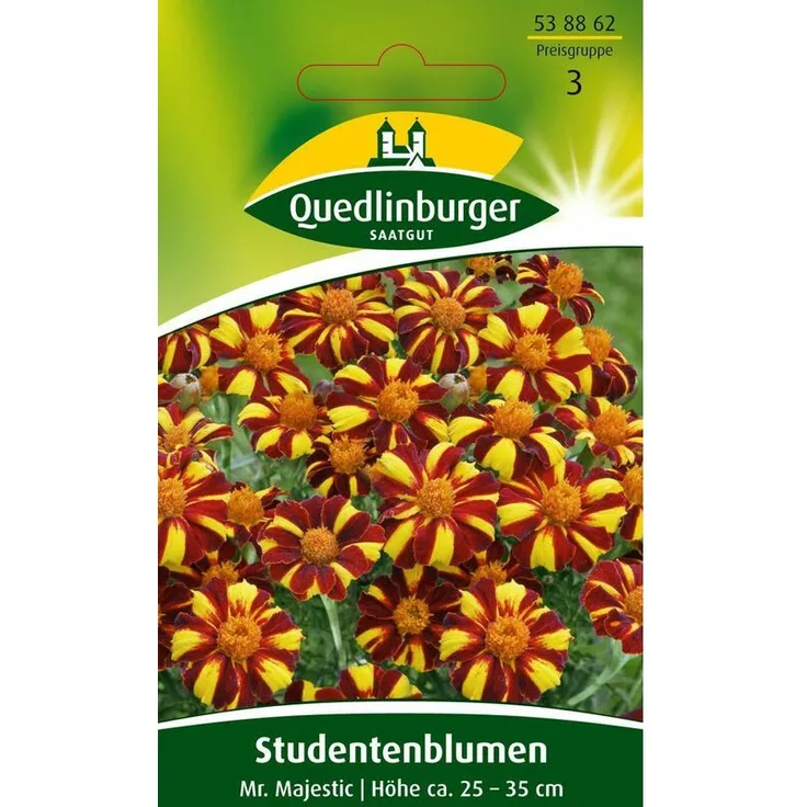 QUEDLINBURGER SAATGUT Quedlinburger Saatgut - Studentenblume Mr. Majestic Blumensamen