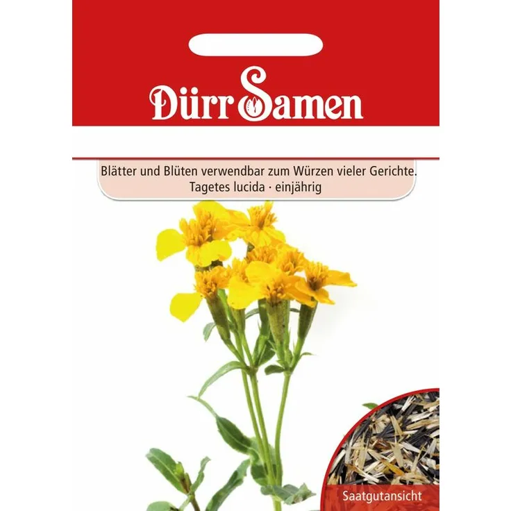 DÜRR-SAMEN Dürr-samen - Würztagetes | Würztagetessamen 