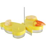 2 in 1 Futterschale und Tränke für Schmetterlinge - Best For Birds