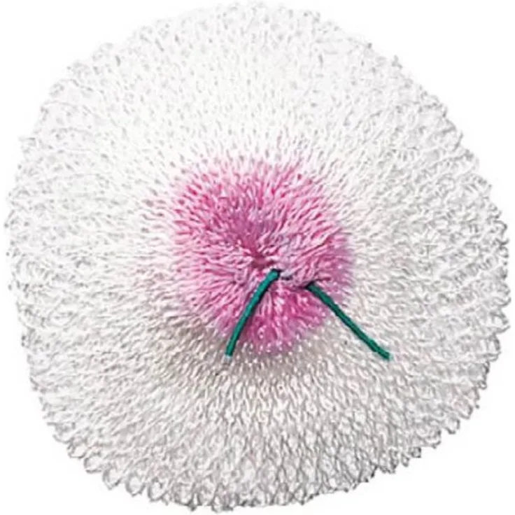 Coleman Taschenlampen-Zubehör Glühstrümpfe Benzin 2er Pack, weiß