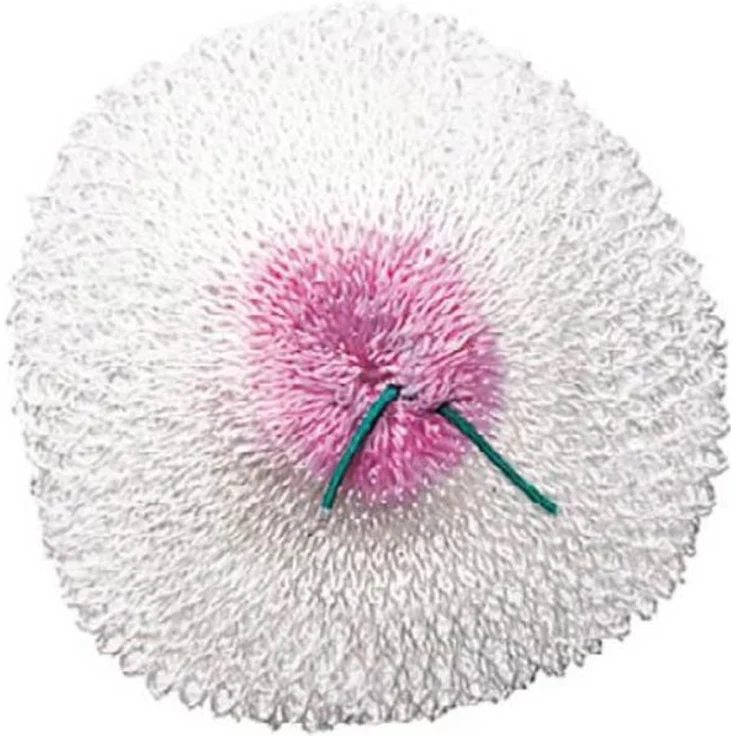 Coleman Taschenlampen-Zubehör Glühstrümpfe Benzin 2er Pack, weiß