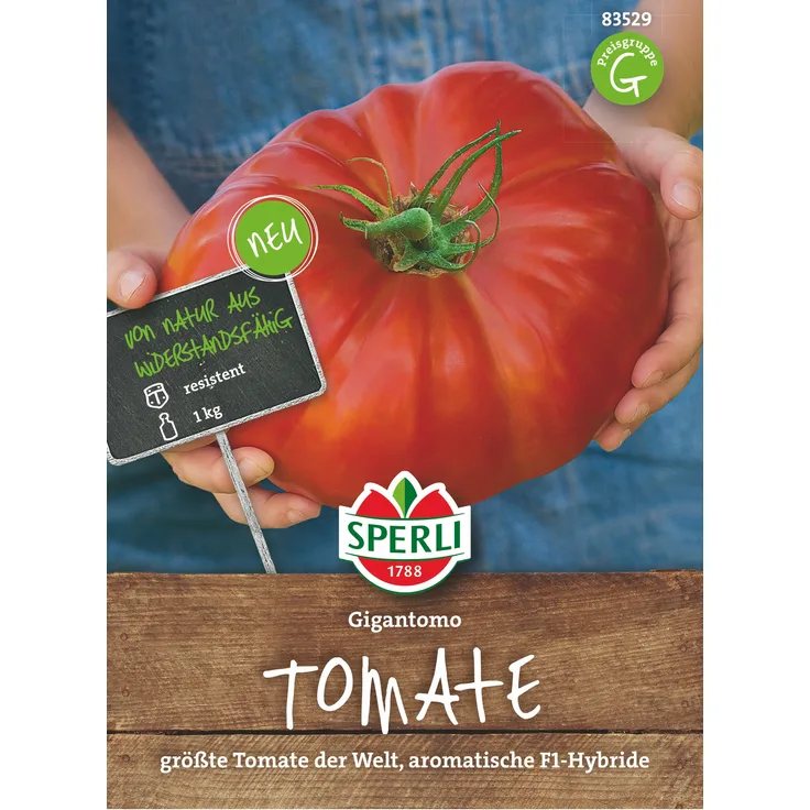 Sperli Tomate Gigantomo F1 (Fleischtomate), größte Tomate der Welt, sehr aromatisch