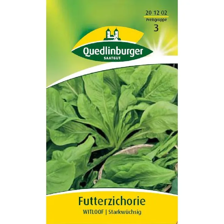 QUEDLINBURGER Blattzichorie (Futterzichorie) Witloof