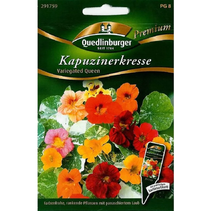 QUEDLINBURGER Kapuzinerkresse, Variegated Queen