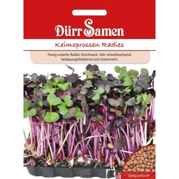 DÜRR-SAMEN Dürr-samen - Keimsprossen Radies | Bio-Keimsprossen 