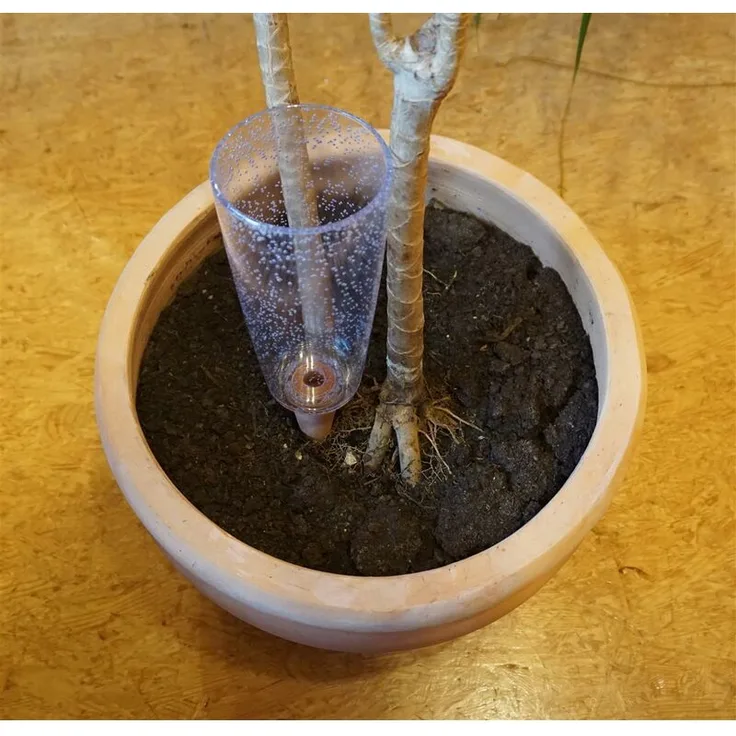 5x Wasserspender XXL Copa transparent