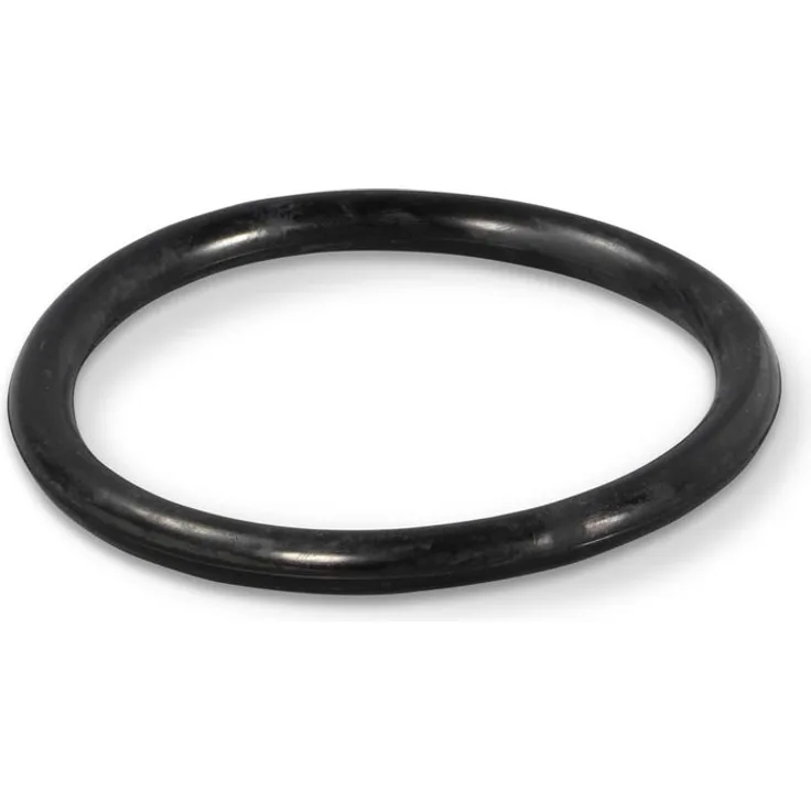 Astral Pool O-Ring für Astral, Swim-tec Unterwasser Scheinwerfer