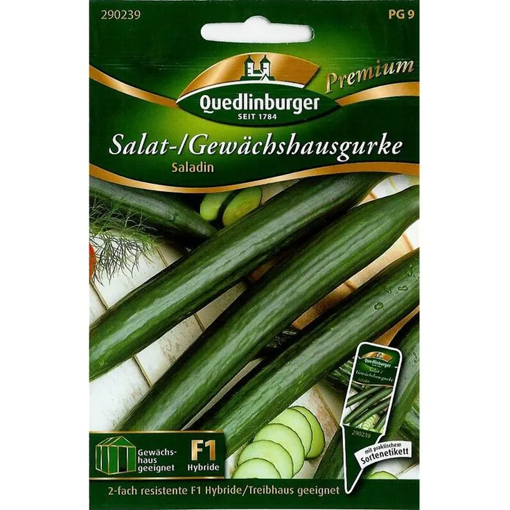 QUEDLINBURGER Salat--Gewächshausgurke, Saladin F1