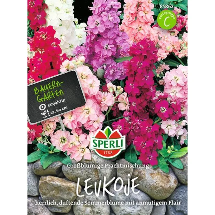 Sperli Levkoje Großblumige Mischung