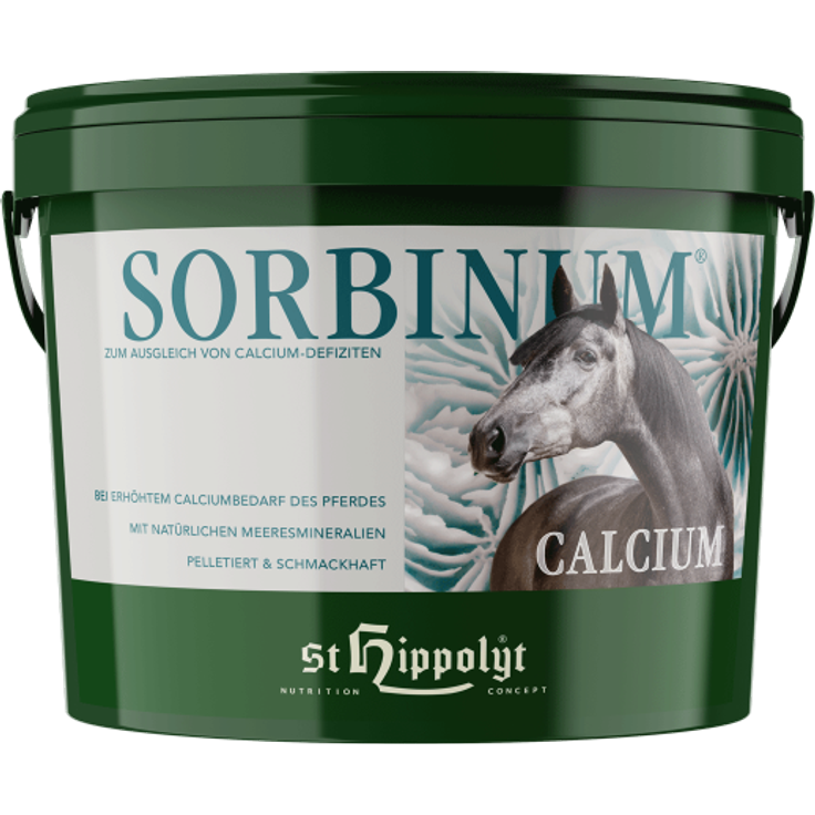 Sorbinum Calcium 10 kg