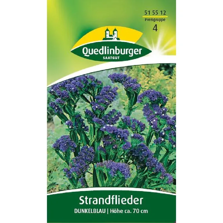 QUEDLINBURGER Strandflieder, Dunkelblau