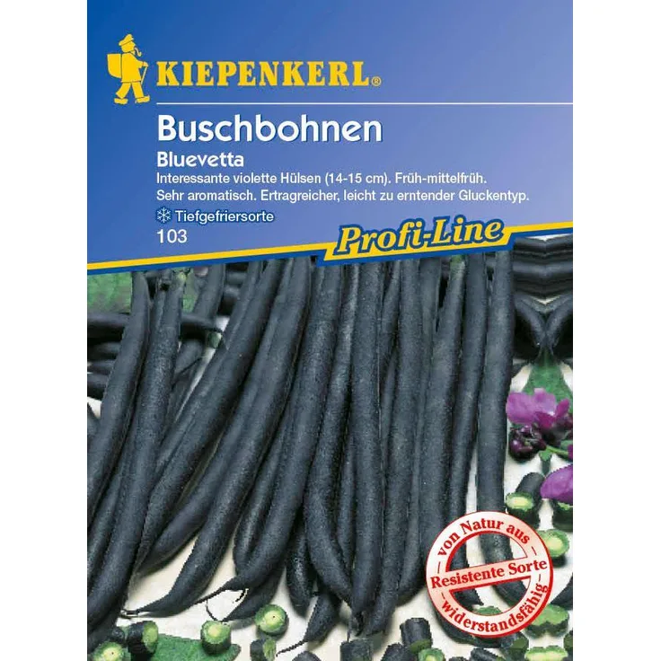 Kiepenkerl Buschbohnen Bluevetta resistent
