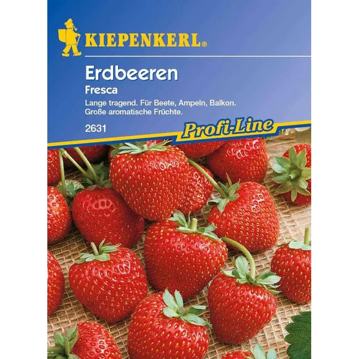 Kiepenkerl Erdbeeren Fresca
