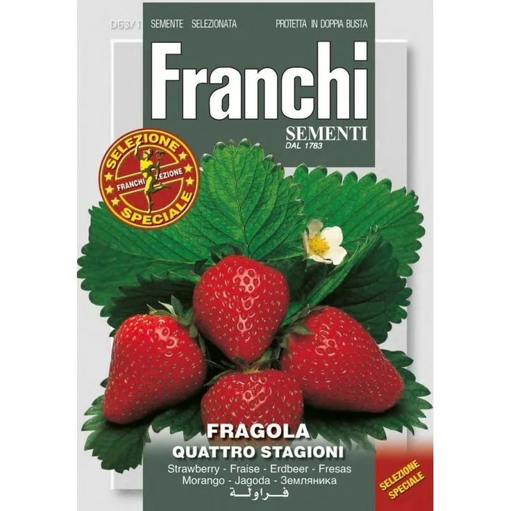 FRANCHI SEMENTI Erdbeere Quattro Stagioni Erdbeersamen von - Franchi Sementi