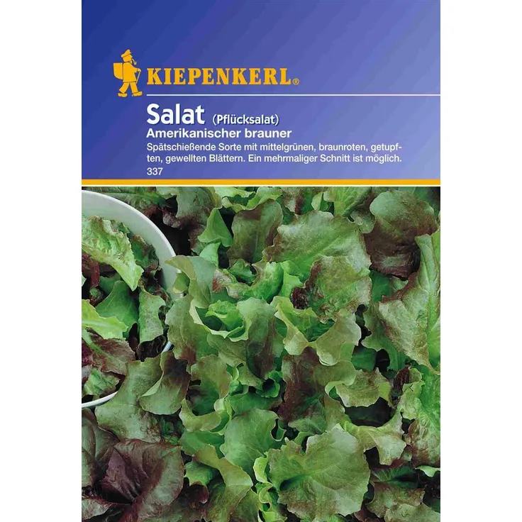 Kiepenkerl Salat Pflücksalat Amerikanischer Brauner Portion