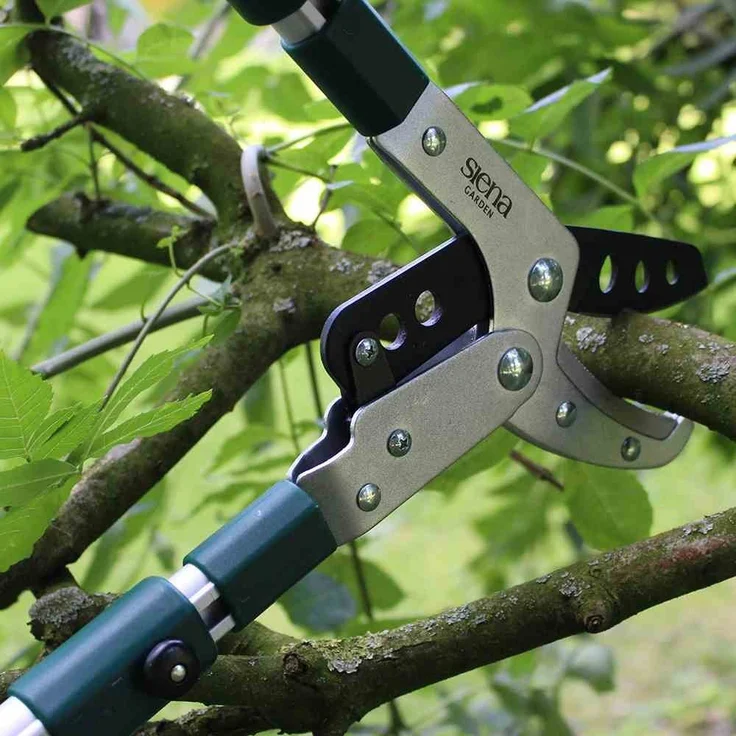 Siena Garden Pro Alu-Amboss-Astschere, teleskopierbar 358328 – Bild 3