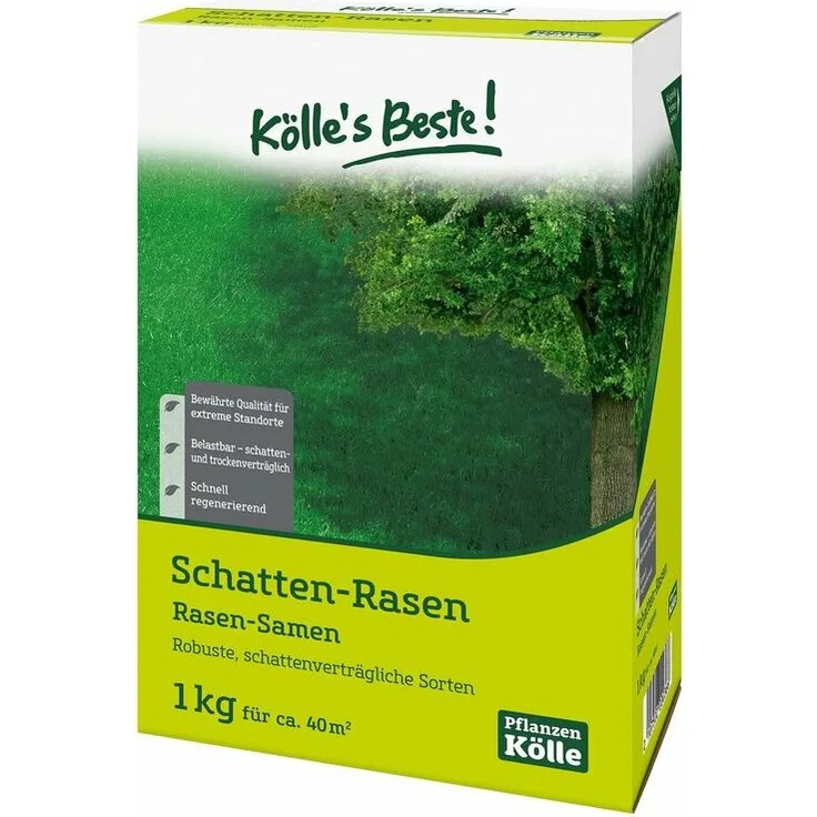 KÖLLES BESTE! Kölles Beste Schattenrasen mit Lägerrispe Poa supina, 1 kg