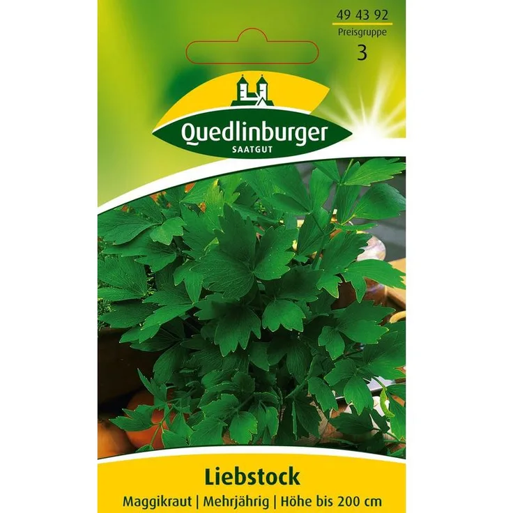 QUEDLINBURGER Liebstock, Maggikraut