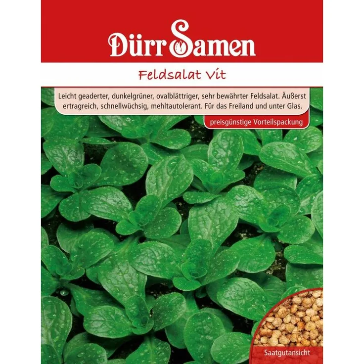 DÜRR-SAMEN Dürr-samen - Feldsalat Vit 250 g Feldsalatsamen 