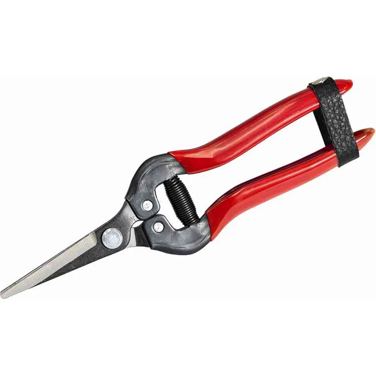 Siena Garden Lese-, Ernte- und Blumenschere Premium, 313239 mittelgroß