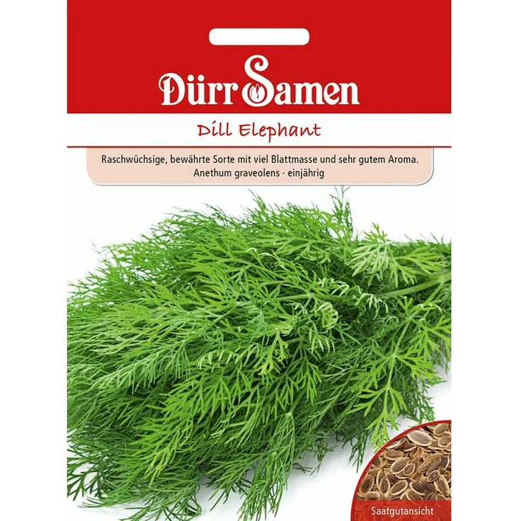 DÜRR-SAMEN Dill Elephant Dillsamen 