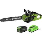 Greenworks GD40CS18, 40 cm Schwertlänge