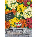 Sperli Goldlack SPERLING?s Chupado Mischung