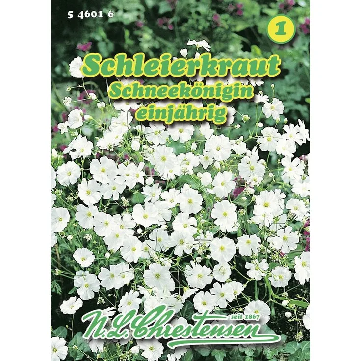 N.L. CHRESTENSEN Schleierkraut Schneekönigin Blumensamen 