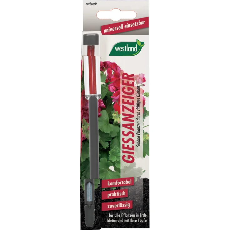 WESTLAND Gießanzeiger für Blumenerde, 16 cm anthrazit