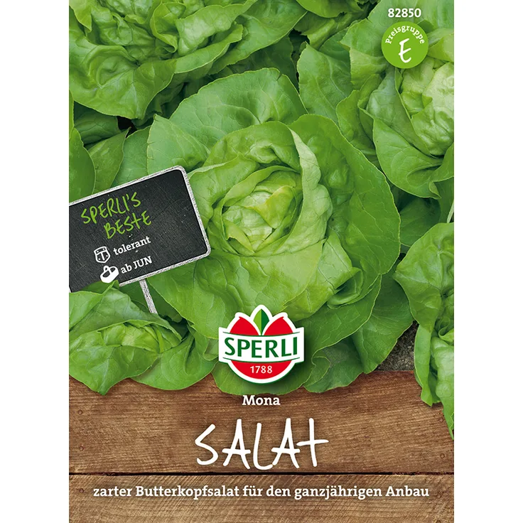 Sperli Kopfsalat Mona