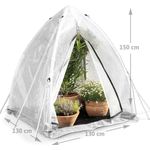 Foliengewächshaus Winter 'TROPICAL ISLAND M', H150xB130xT130cm - Biogreen