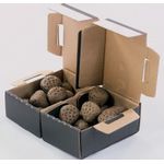 SudoreWell Saunasteine Kerkes klein 10 kg