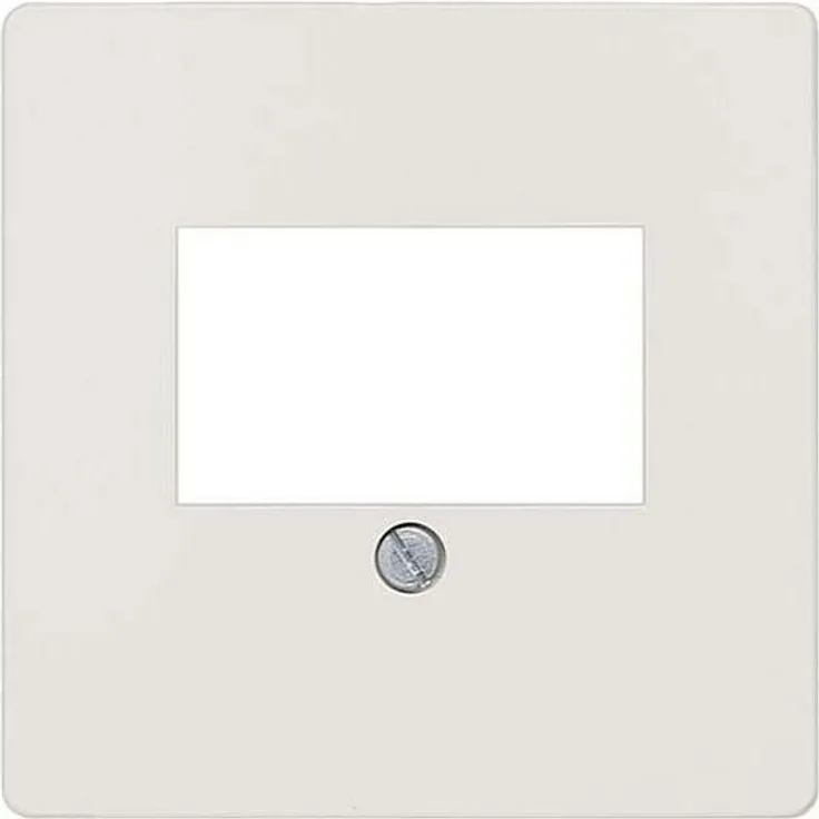 Siemens mens Abdeckplatte TAE Delta I-System, tws 5TG2563-2