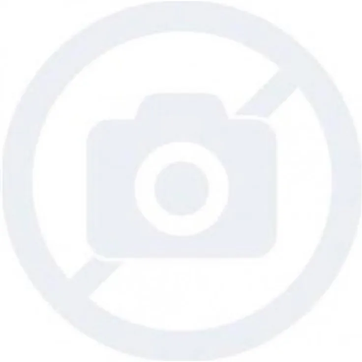 Nilfisk Original 5218433 Pumpenöl 150 1x1l Hochdruckreiniger Hydrauliköl