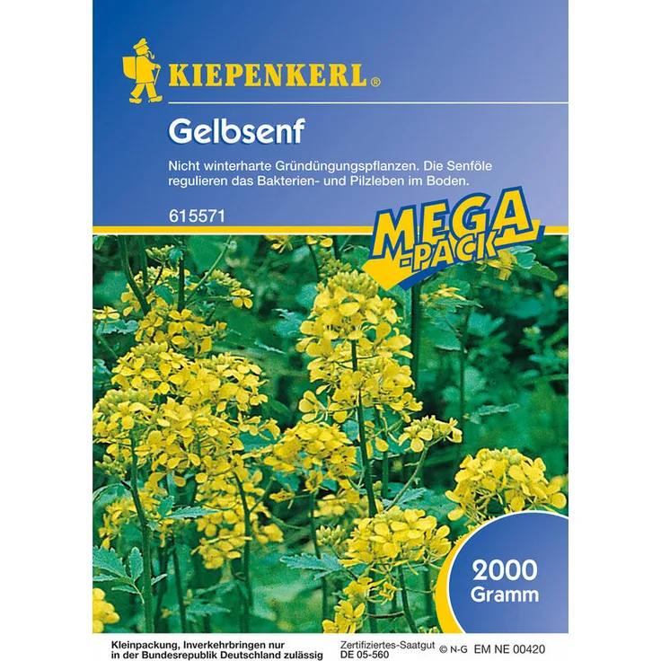 KIEPENKERL Gelbsenf (2 kg) Gründünger 