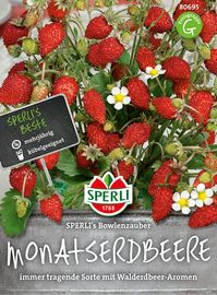Sperli Monatserdbeeren Bowlenzauber