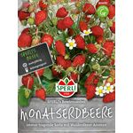 Sperli Monatserdbeeren Bowlenzauber