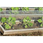 25m x 100cm Volierendraht - Verzinkt 19x19mm - Maschendrahtzaun Kaninchendraht