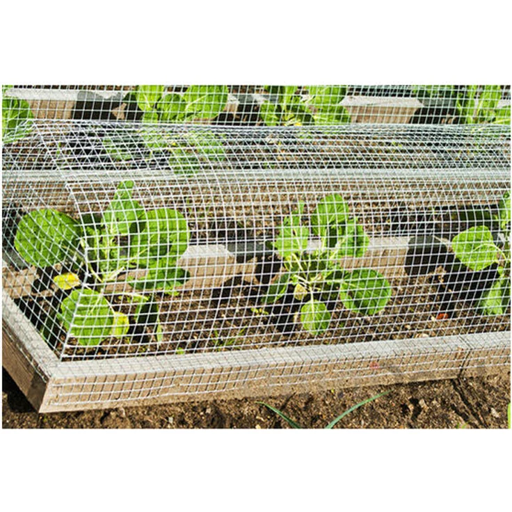 25m x 100cm Volierendraht - Verzinkt 19x19mm - Maschendrahtzaun Kaninchendraht – Bild 1