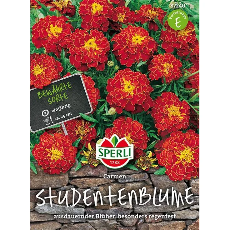 Sperli Tagetes Studentenblume Carmen
