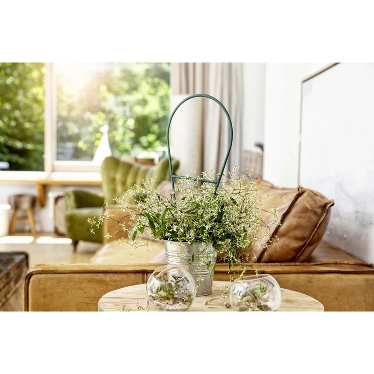 Windhager Bogenspalier 44 x 19 cm – Bild 1