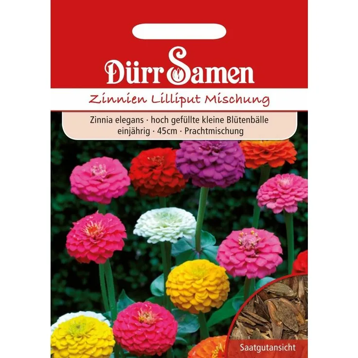 DÜRR-SAMEN Dürr-samen - Zinnie Lilliput Mischung | Zinniensamen 