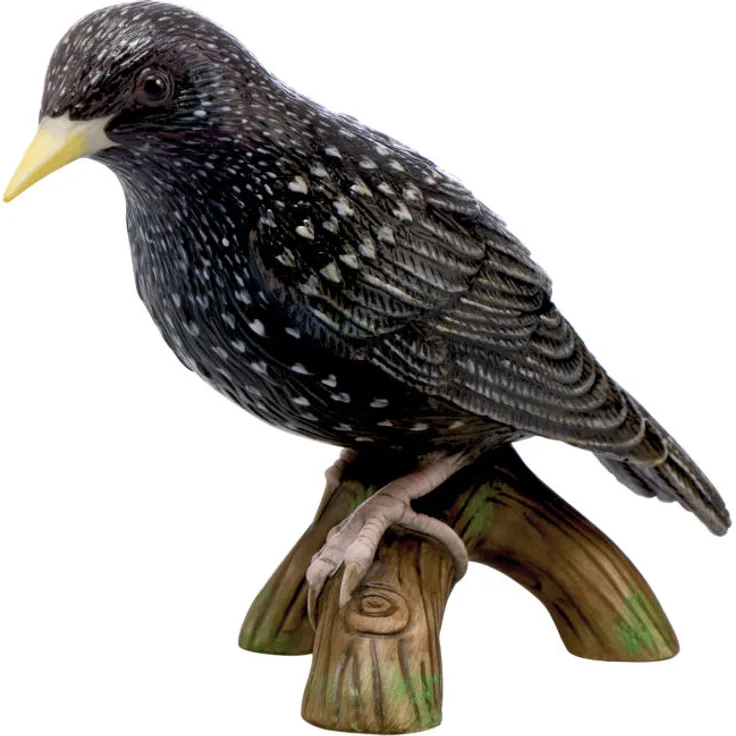 Goebel Vogel des Jahres 2018: Star, Figur, Dekoration, Sammlerfigur, Porzellan, H 9 cm, 38473171