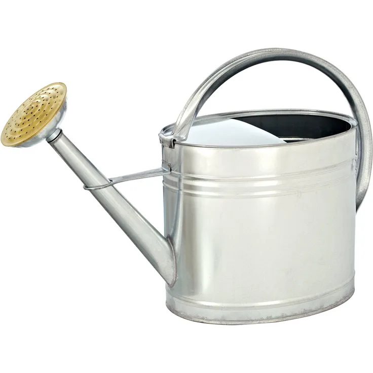 Dehner Gießkanne nostalgisch, oval, 9 l, ca. 53 x 40 x 21 cm, Zink, silber
