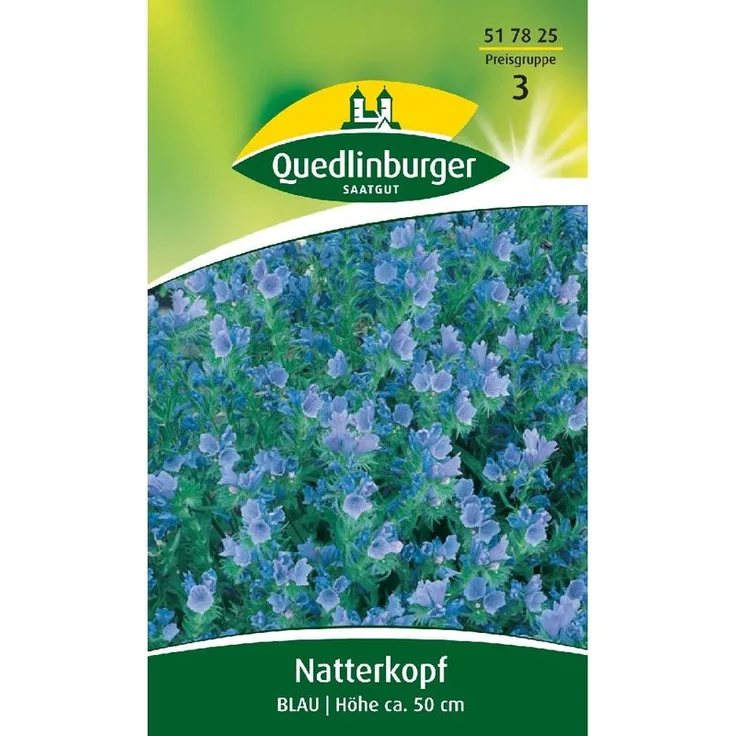 QUEDLINBURGER Natternkopf, Blau