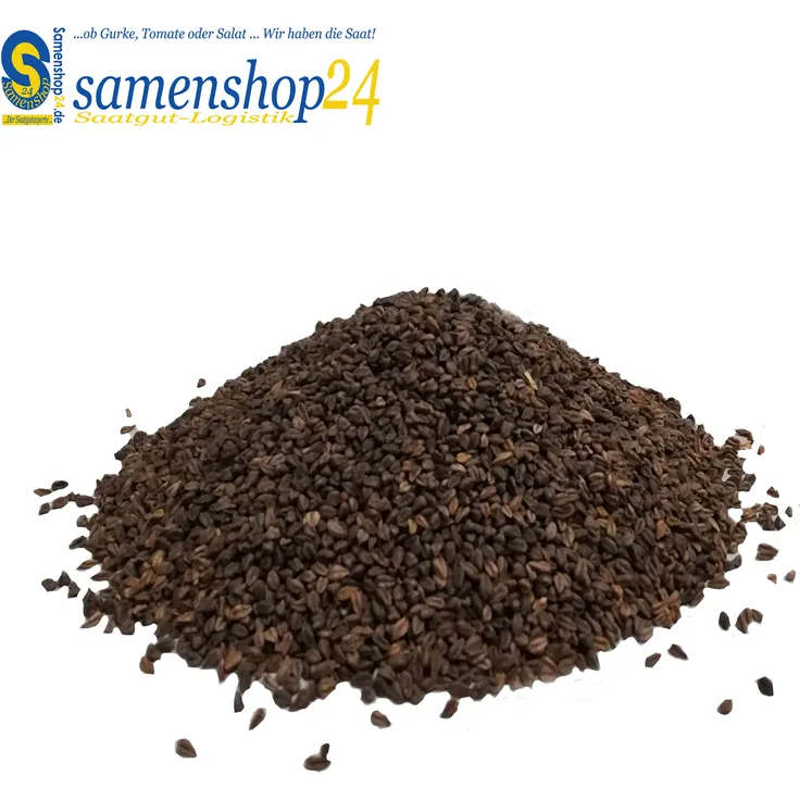 Samenshop 24 Samenshop24 Winterraps Bodenkur & Gründüngung Inhalt: 1kg