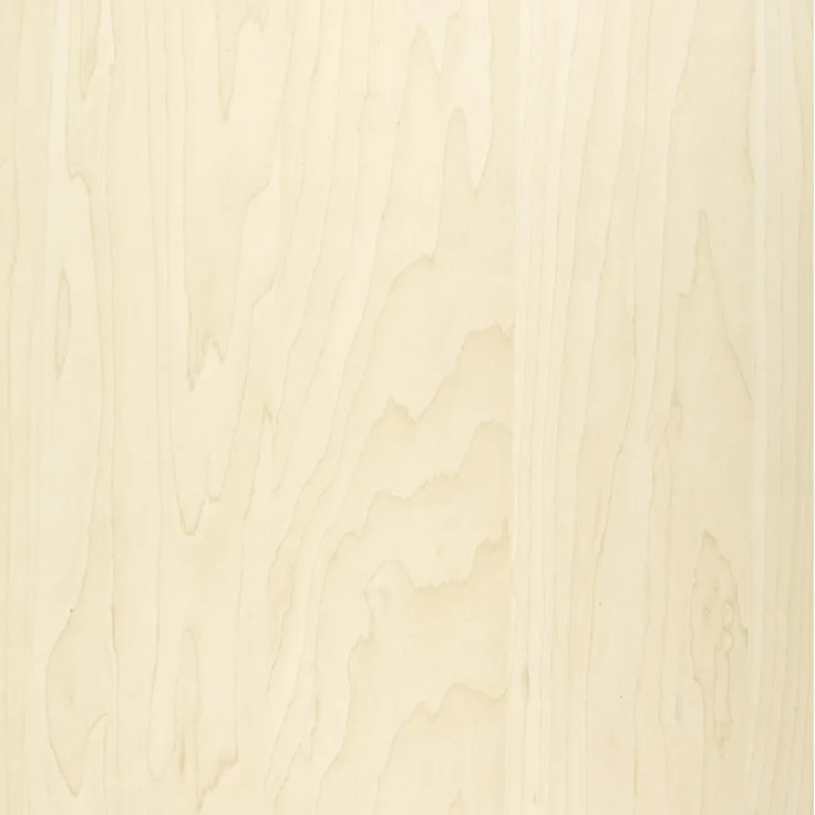 Klebefolie Ahorn Holzoptikfolie, Dekofolie, Möbelfolie, Tapete, selbstklebende Folie, PVC, ohne Phthalate, 45cm x 1,5m, Stärke 0,095mm, Venilia 53403
